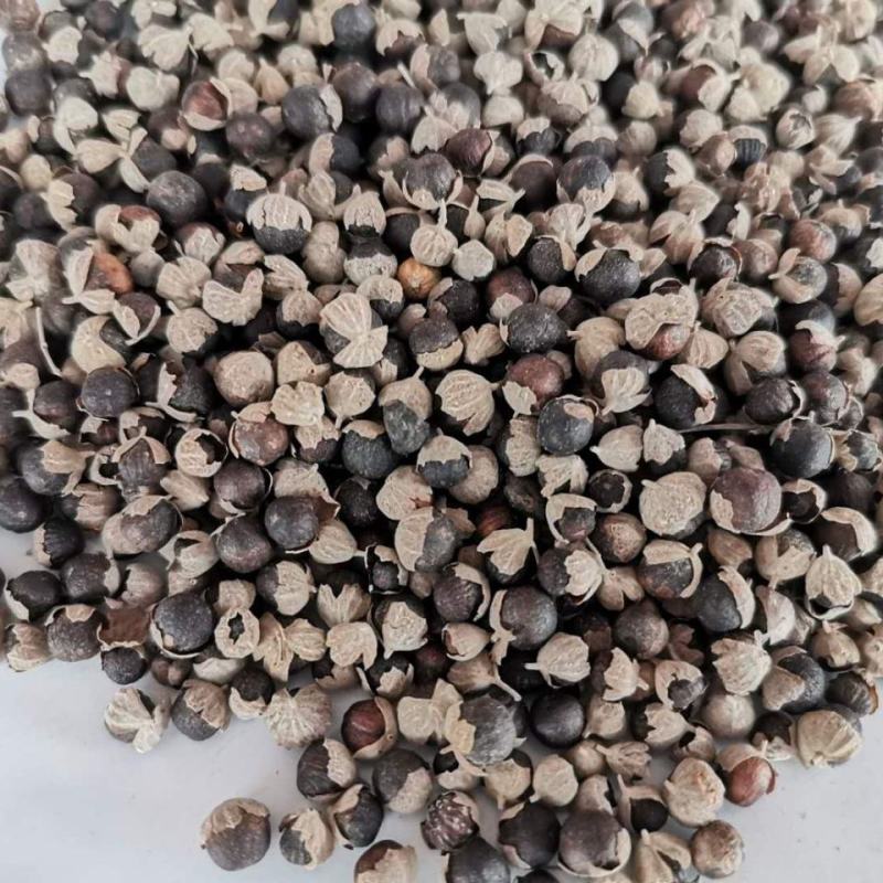 蔓荆子中药材曼荆子蔓菁子蔓荆籽蔓京子万荆子蔓青子包