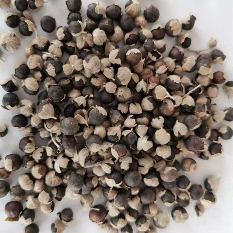 蔓荆子中药材曼荆子蔓菁子蔓荆籽蔓京子万荆子蔓青子包