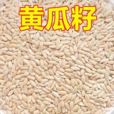 中药材黄瓜子包邮东北旱黄瓜籽生熟黄瓜籽粉可搭配生