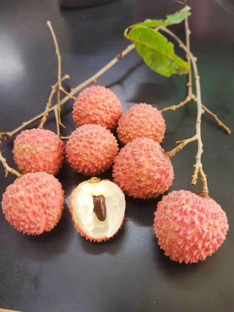 广东高州桂味荔枝
