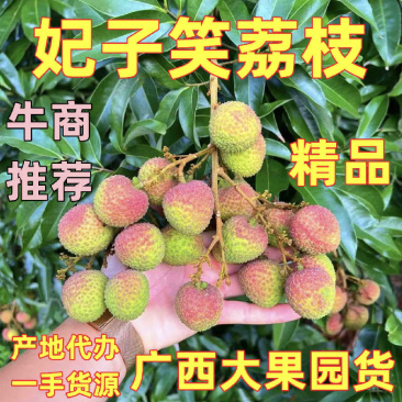 产地代办妃子笑荔枝广西荔枝小核妃子笑荔枝新鲜荔枝