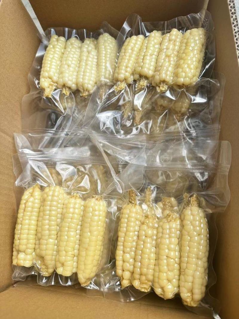 西双版纳精品拇指玉米顺丰快递，空运