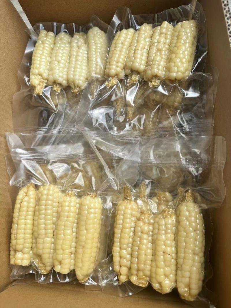 西双版纳精品拇指玉米顺丰快递，空运