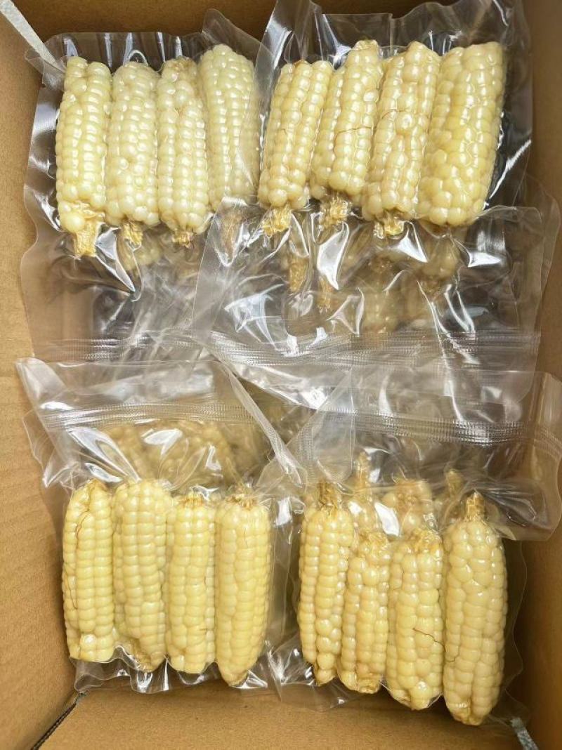 西双版纳精品拇指玉米顺丰快递，空运