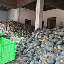 南瓜密本南瓜赖可丽弯瓜板栗瓜贵族南瓜贝贝南瓜