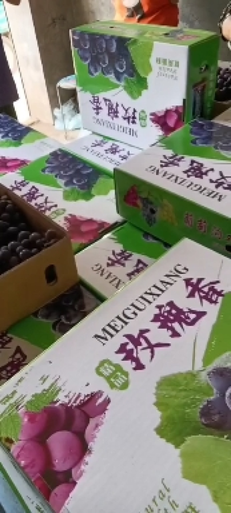 玫瑰香葡萄，昌黎无籽玫瑰产地直发，团购社区电商团长直采货