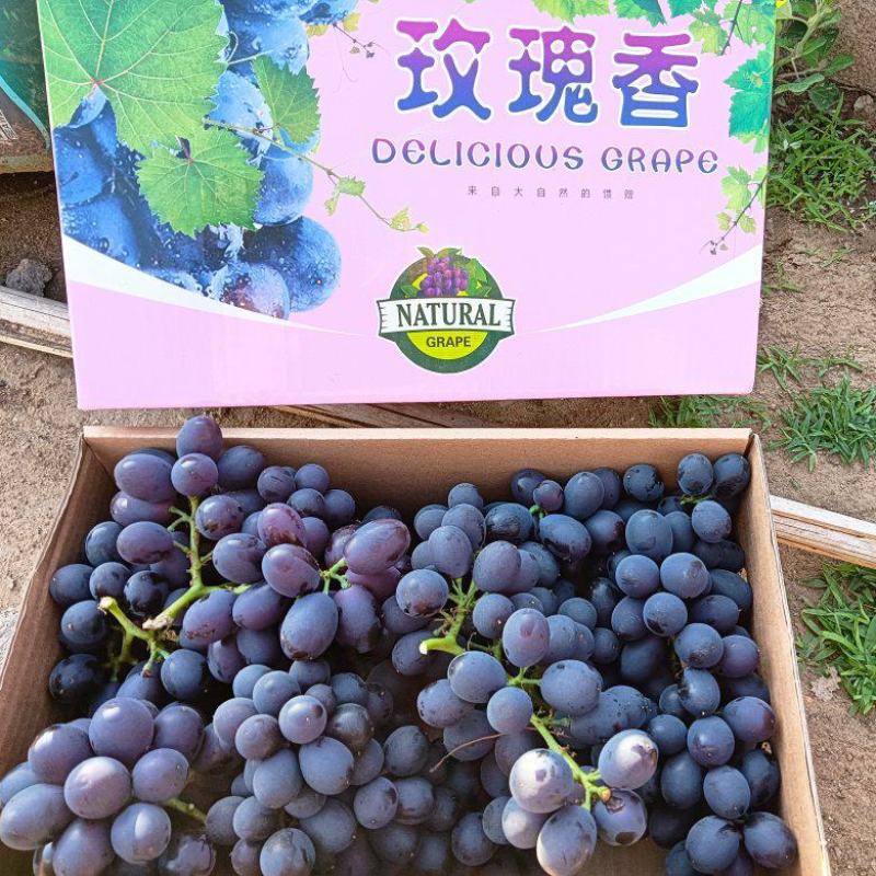玫瑰香葡萄，昌黎无籽玫瑰产地直发，团购社区电商团长直采货