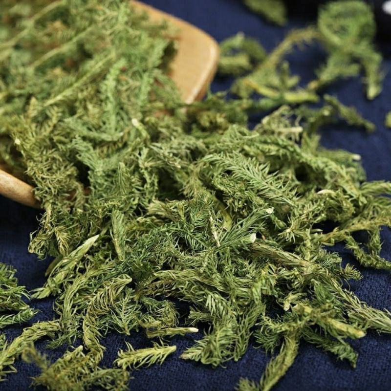 中药材伸筋草筋骨草正品新货透骨草舒筋草石松狮子多规格