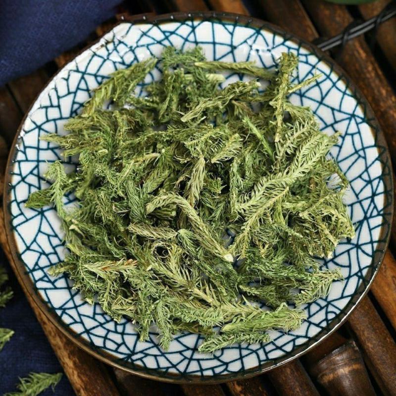 中药材伸筋草筋骨草正品新货透骨草舒筋草石松狮子多规格