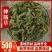 中药材伸筋草筋骨草正品新货透骨草舒筋草石松狮子多规格