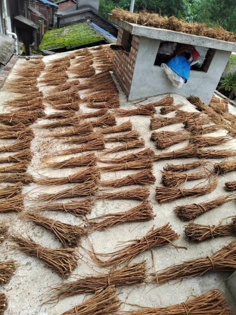 广西桂林千斤拔，一手货源价格美丽，欢迎各位老板合作共赢