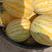 无籽小黄人西瓜黄皮西瓜，赤金西瓜一手货源大量有货