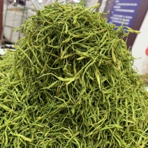 金银花，产地新货，量大从优。欢迎各位老板咨寻下单