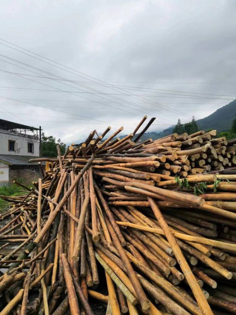 绿化撑杆