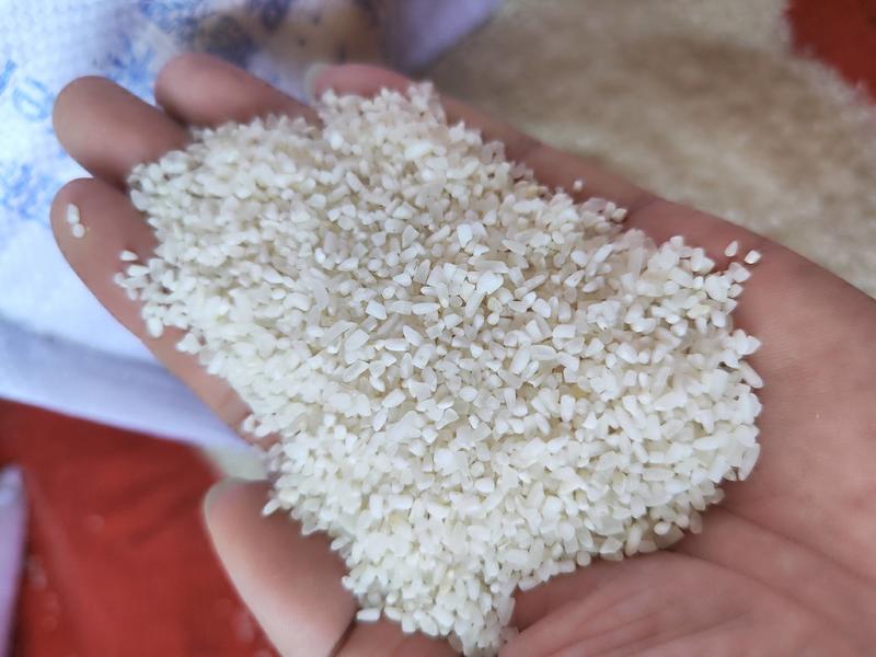 碎米大碎量大更优惠