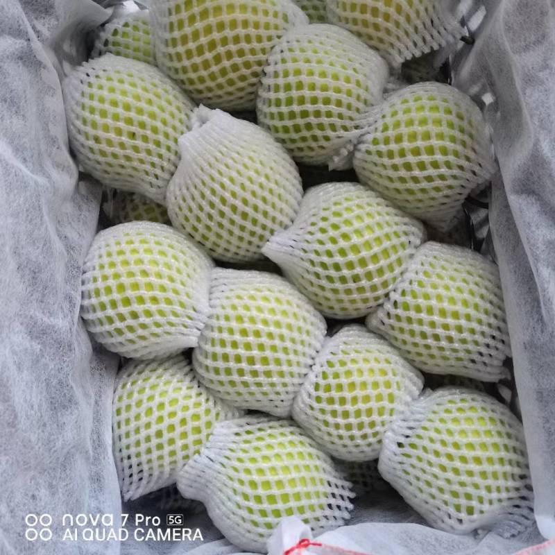 安徽砀山青皇冠梨,口感甜，果型端正，专业对接团购批发商超