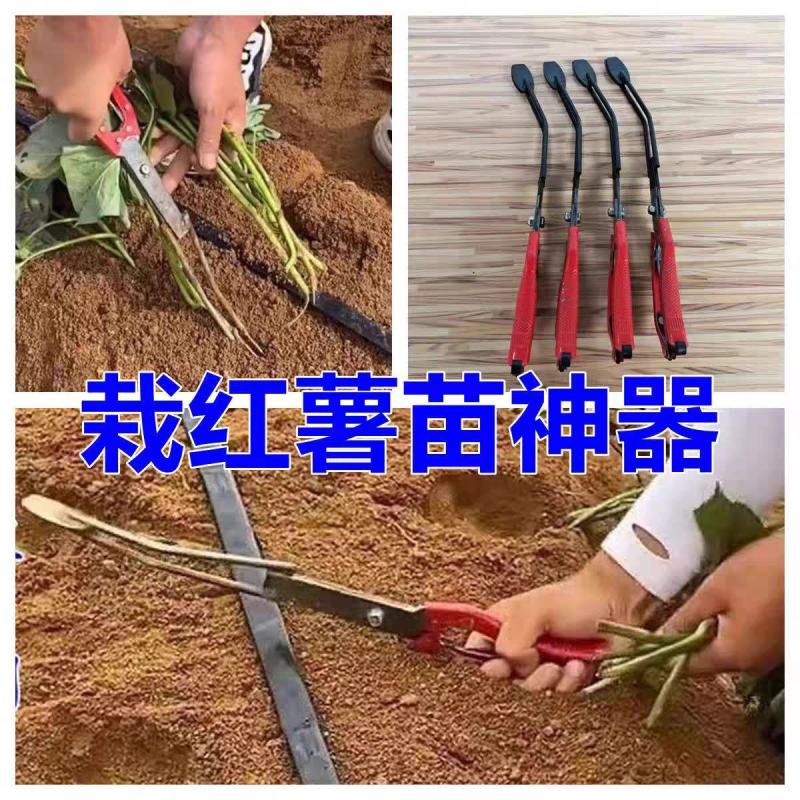 栽红薯苗神器插秧栽苗器农用工具移栽器栽地瓜种烟薯紫薯辣椒