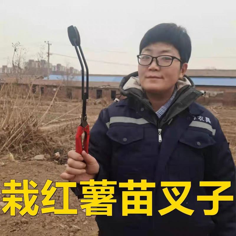栽红薯苗神器插秧栽苗器农用工具移栽器栽地瓜种烟薯紫薯辣椒