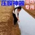 人力手持式压膜机湿地盖膜机蔬菜铺膜种蒜神器