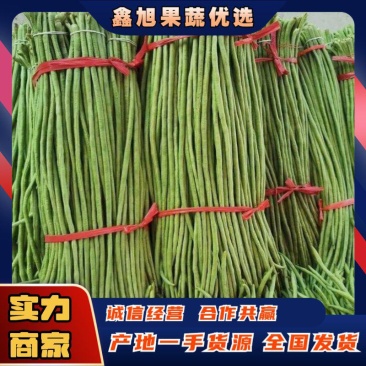 青条豆角/安徽长豆角/豇豆商超社团电商供货代收代发代加工