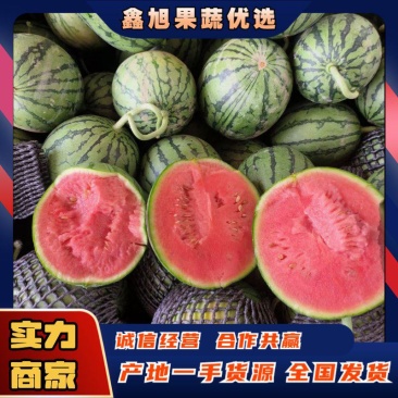 早春红玉西瓜/精品小糖丸吊瓜安徽礼品手撕瓜承接商超社团