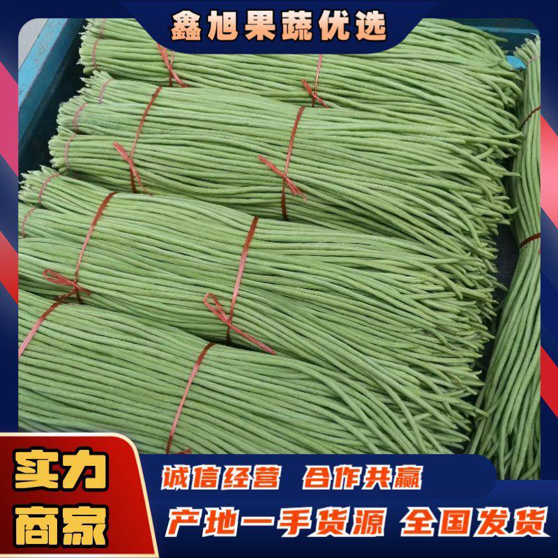 豇豆/白条豆角/安徽长豆角商超社团电商供货代收代发代加工