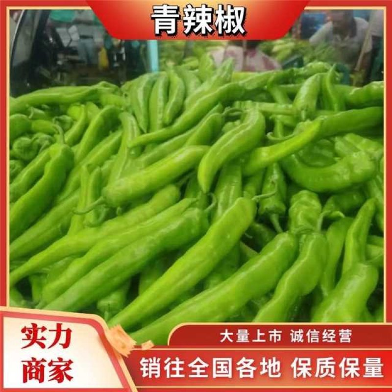 【优质】产地直供各种辣椒按需包装诚信经营