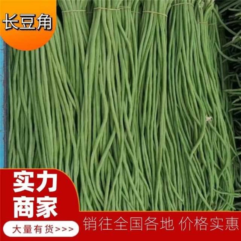 【推荐】长豆角，产地直供【市场】【加工厂】【电商】