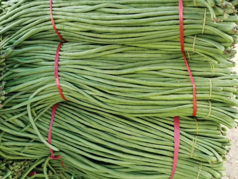 【推荐】长豆角，产地直供【市场】【加工厂】【电商】