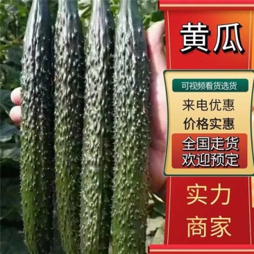 产地直供，按需包装，【市场】【电商】【加工厂】