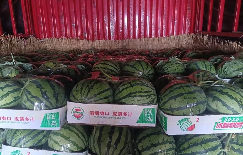 麒麟西瓜，大量供应，保熟保甜。欢迎来电洽谈合作