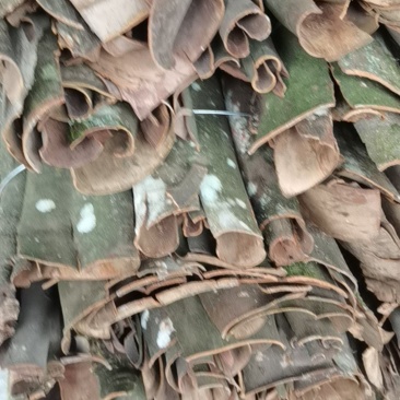 桂皮，野生香桂皮，紫油桂皮，一手货源，产地直发！9元包邮