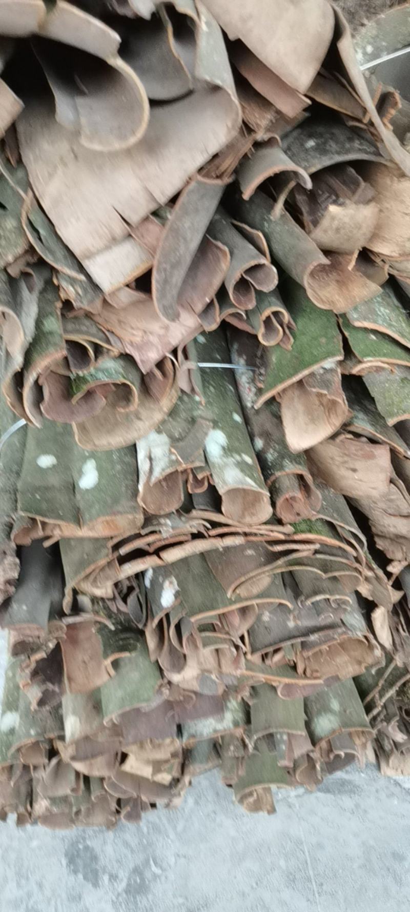 桂皮，野生香桂皮，紫油桂皮，一手货源，产地直发！9元包邮