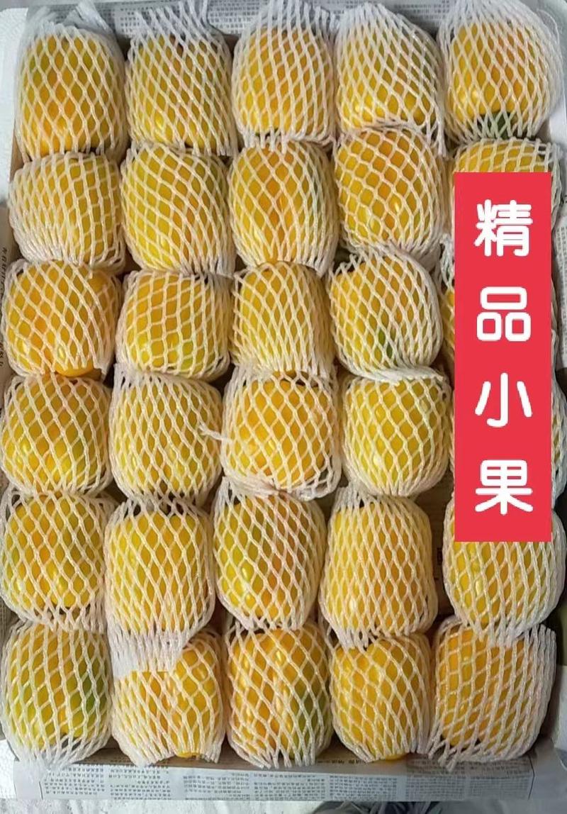 [热卖]江苏淮安黄彩椒甜椒大量供应品质保证