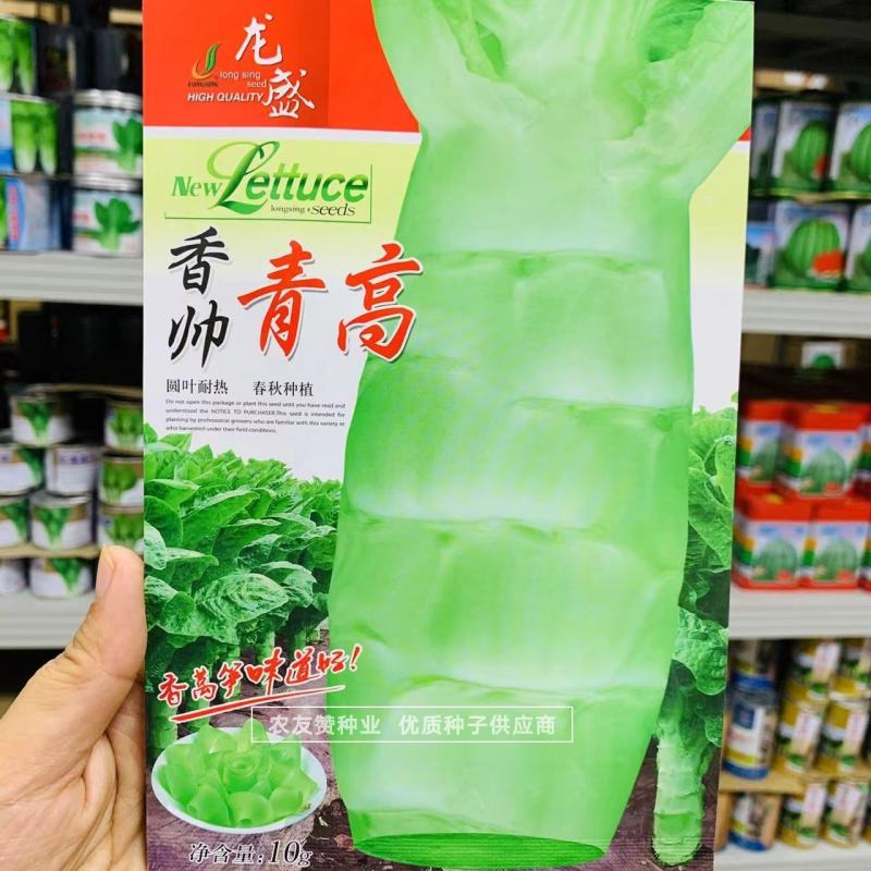 圆叶莴笋种子春夏早秋耐热莴笋种籽翠嫩香莴笋莴苣种子