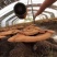 长白山头道一级灵芝孢子粉一瓶250克