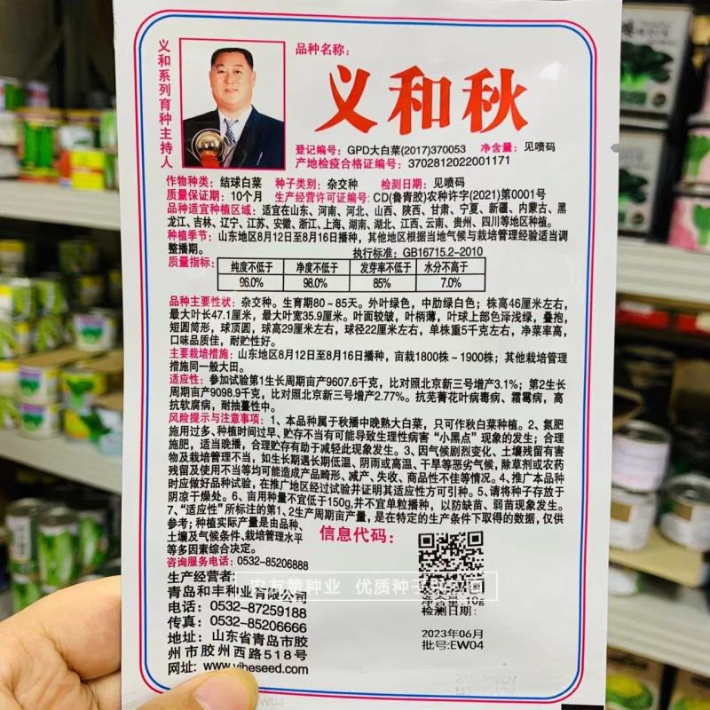 结球白菜种子正品义和秋大白菜种子中晚熟秋播品种短圆筒形