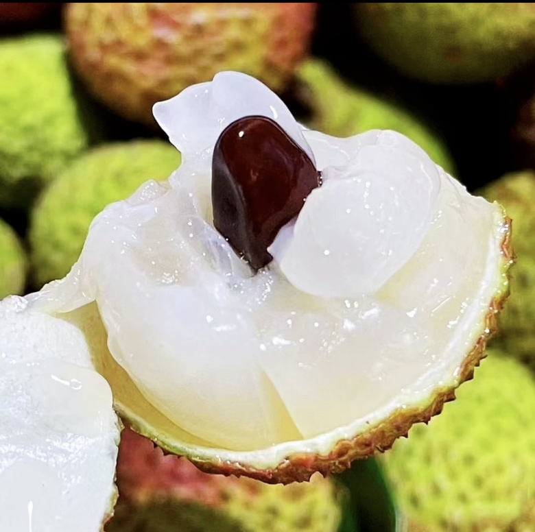 桂味荔枝大核特写：完整带壳果核与剖开后的浅黄色种仁对比图，背景为新鲜桂味荔枝果实，突出核体硕大、表面光滑棕褐、种仁饱满呈淡琥珀色