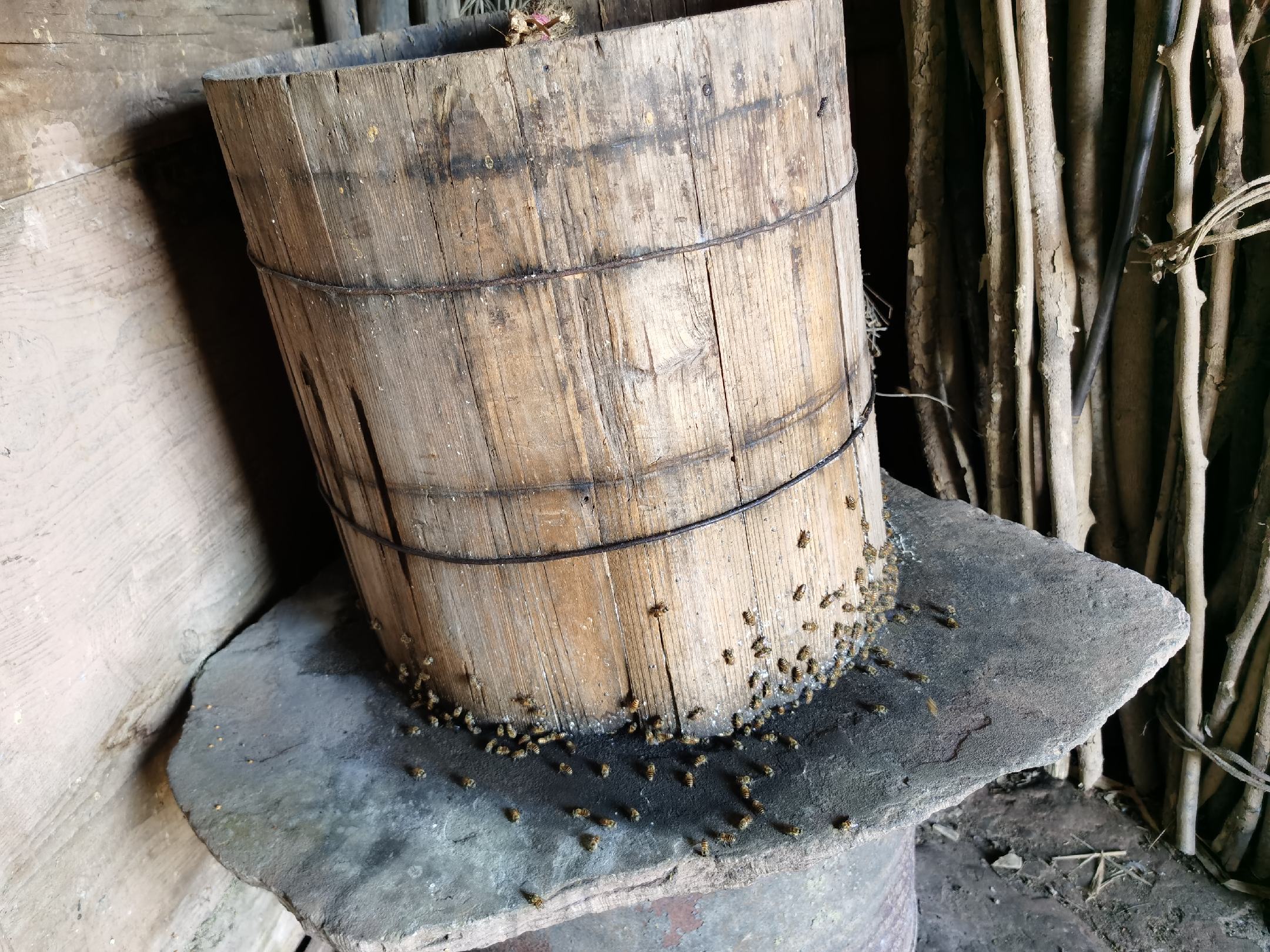 蜂蜜采收常用工具包括脱蜂器、摇蜜机、滤蜜器和储蜜桶 蜂蜜采收工具