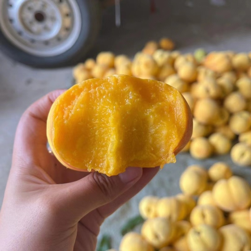 大荔黄油蟠桃，产地货源，量大从优，可视频看货