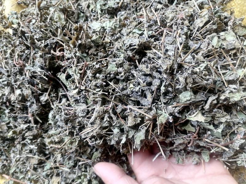 藤茶，又叫茅岩青霜茶，青霜吉藤茶，神仙茶，龙须茶等。