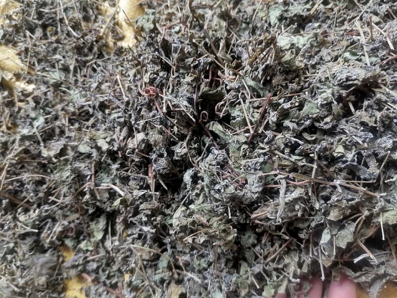 藤茶，又叫茅岩青霜茶，青霜吉藤茶，神仙茶，龙须茶等。