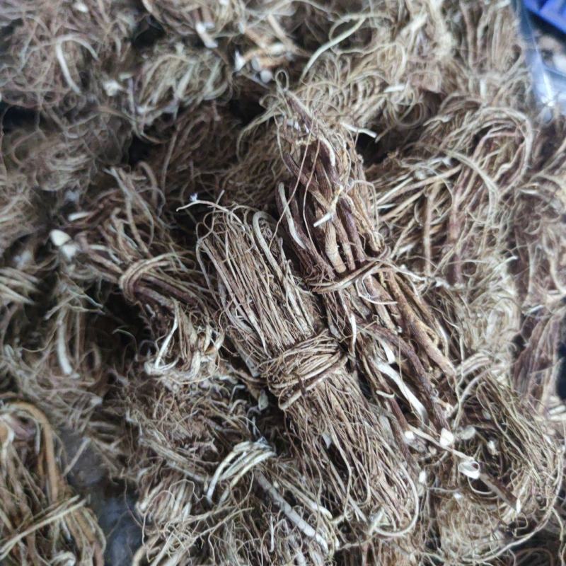 小小扎把五指毛桃