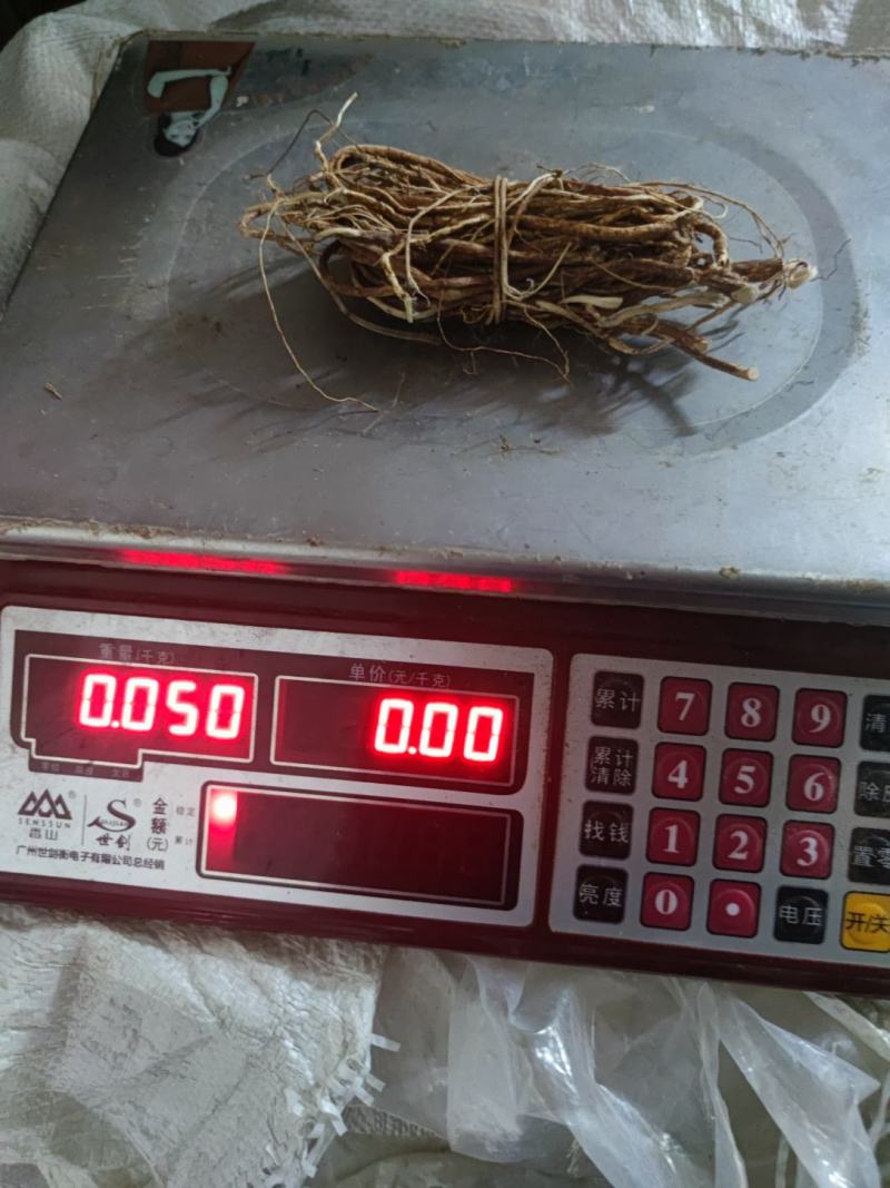 小小扎把五指毛桃