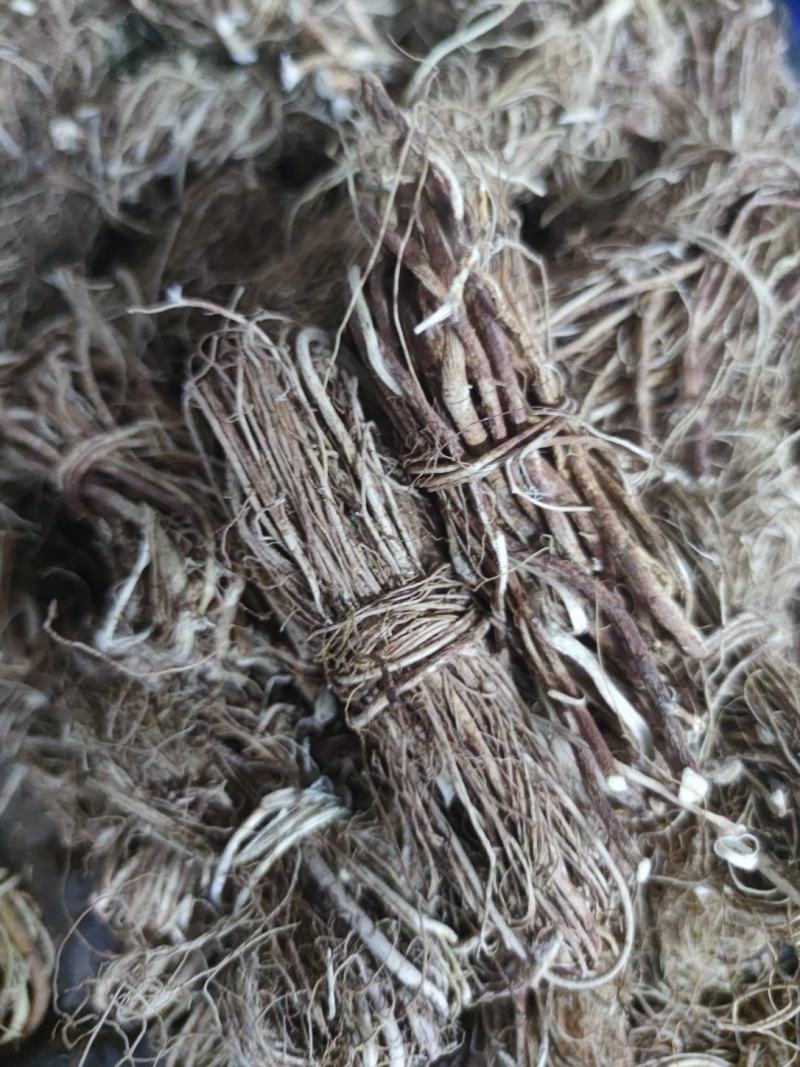 小小扎把五指毛桃