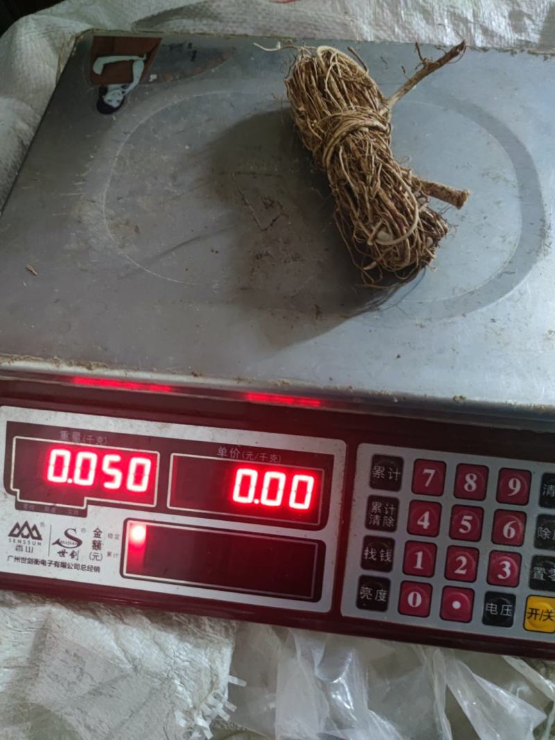 小小扎把五指毛桃