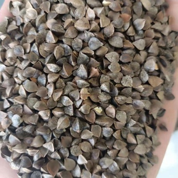 荞麦荞麦米荞麦面