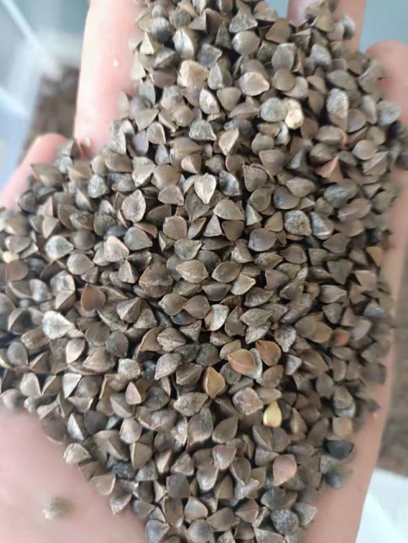 荞麦荞麦米荞麦面