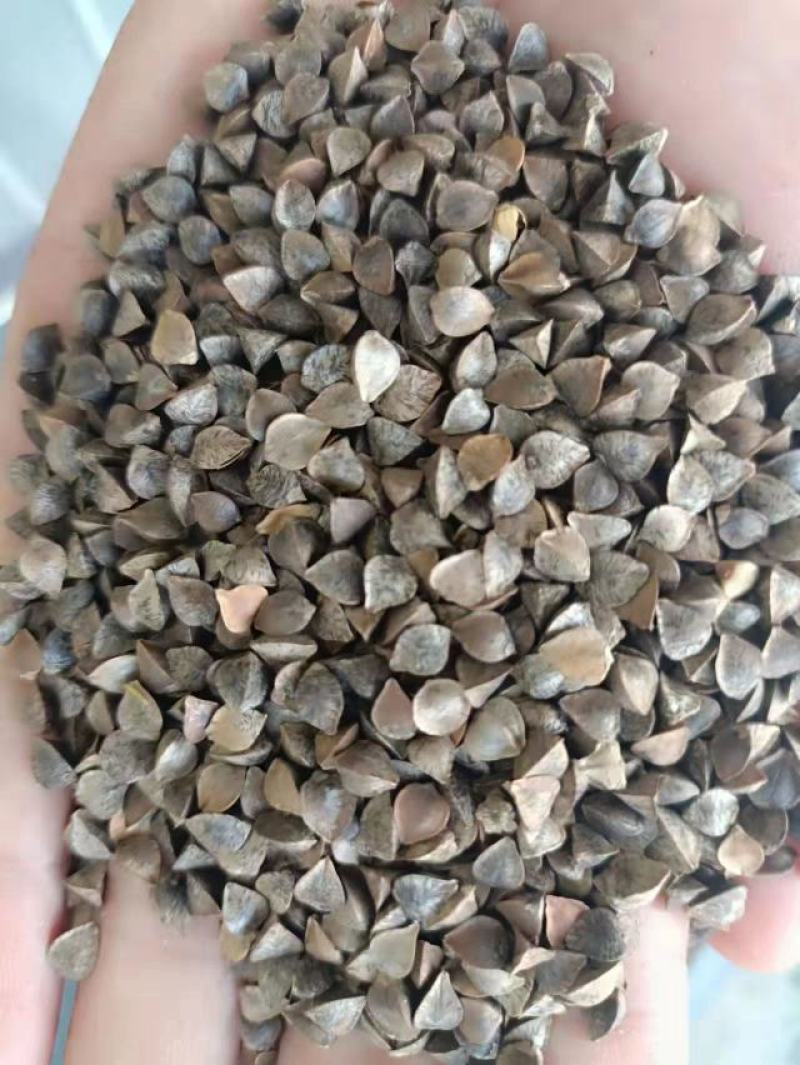 荞麦荞麦米荞麦面