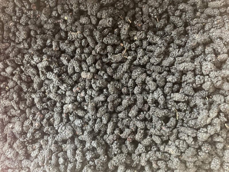桑葚干展会地摊黑桑葚子桑葚干干桑葚零食干果桑葚批发